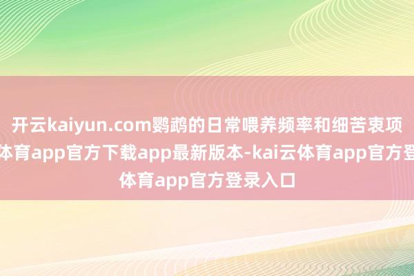 开云kaiyun.com鹦鹉的日常喂养频率和细苦衷项-kai云体育app官方下载app最新版本-kai云体育app官方登录入口