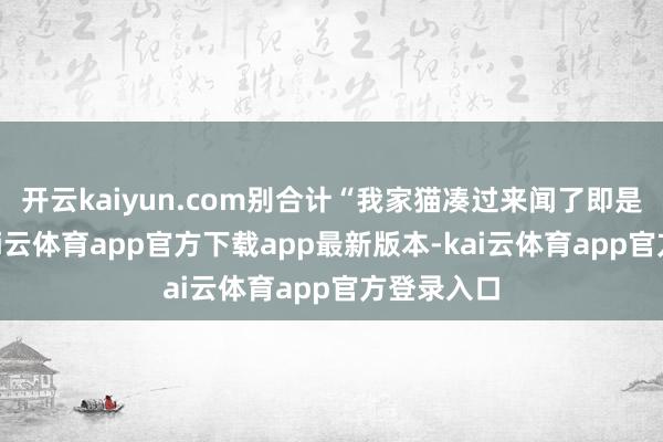 开云kaiyun.com别合计“我家猫凑过来闻了即是思吃”-kai云体育app官方下载app最新版本-kai云体育app官方登录入口