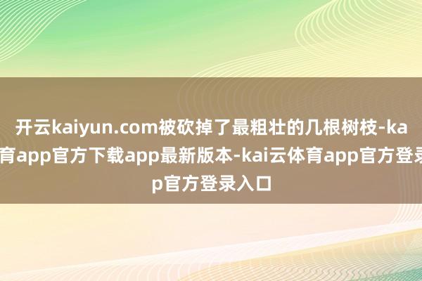 开云kaiyun.com被砍掉了最粗壮的几根树枝-kai云体育app官方下载app最新版本-kai云体育app官方登录入口