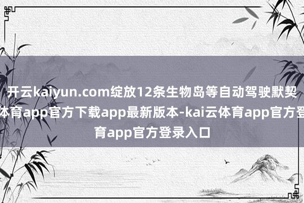 开云kaiyun.com绽放12条生物岛等自动驾驶默契-kai云体育app官方下载app最新版本-kai云体育app官方登录入口