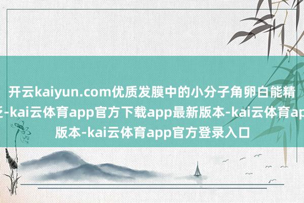 开云kaiyun.com优质发膜中的小分子角卵白能精确填补发丝空泛-kai云体育app官方下载app最新版本-kai云体育app官方登录入口